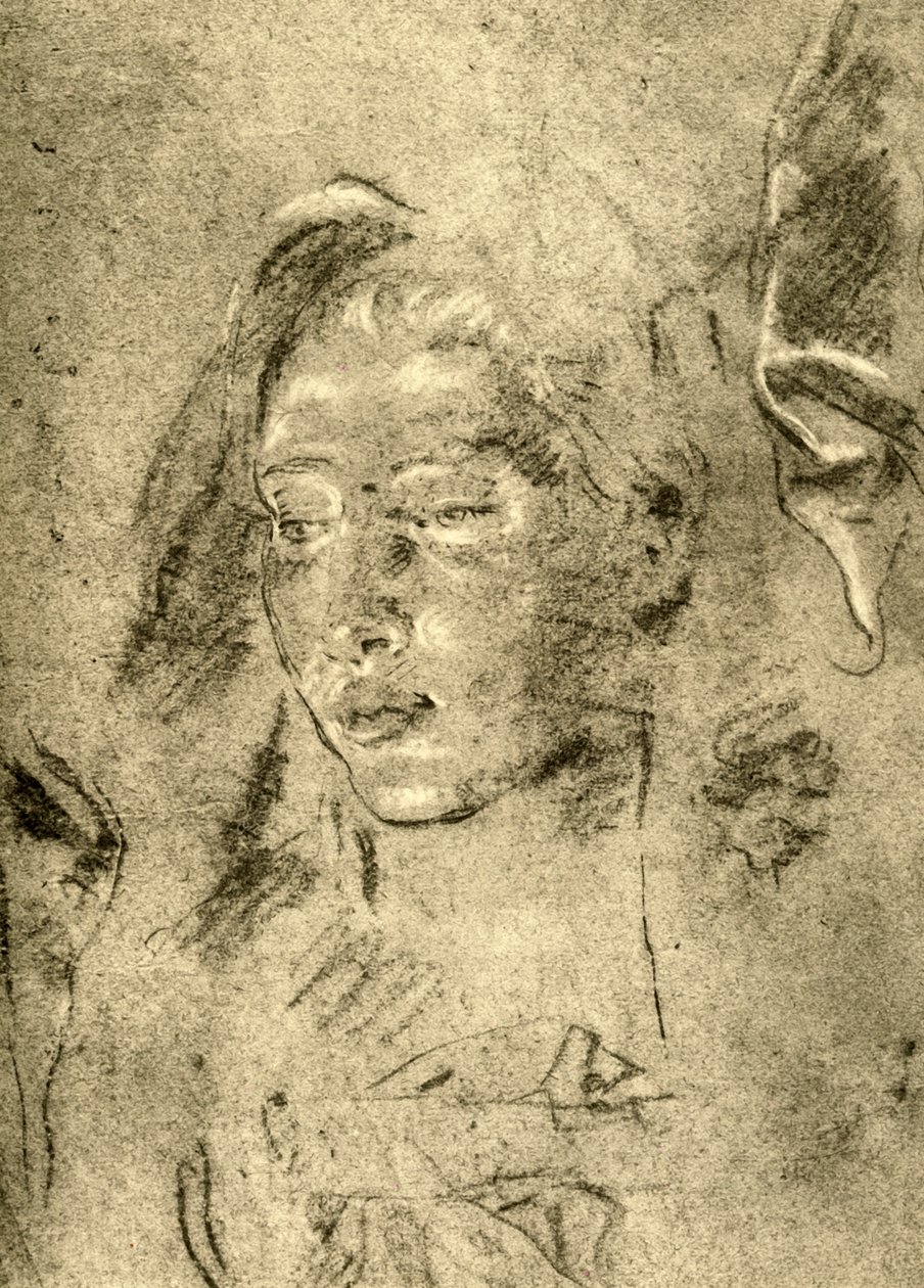 Cabeça de uma jovem, meados do século XVIII, 1928 de Giovanni Battista Tiepolo