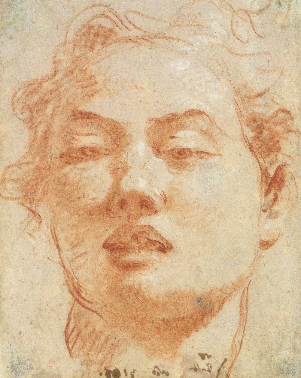 Cabeça de um homem jovem (vermelho e branco giz sobre papel) de Giovanni Battista Tiepolo