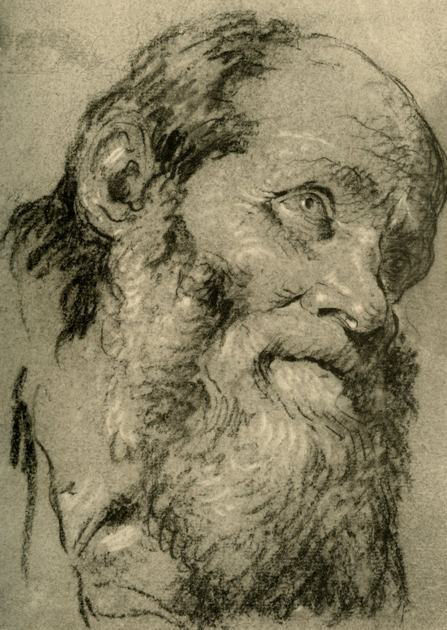 Cabeça de um homem velho, c1755, 1928 de Giovanni Battista Tiepolo