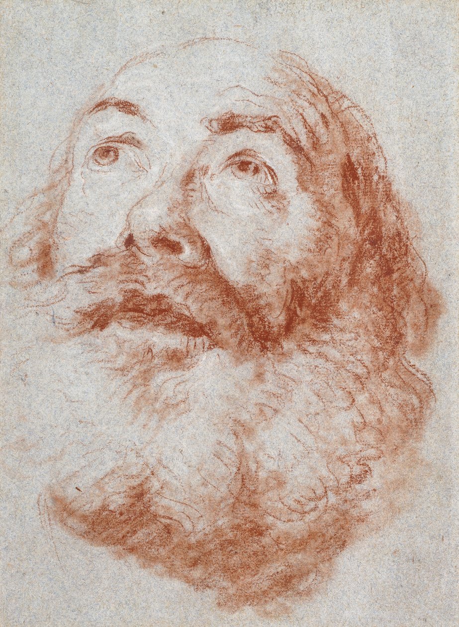Cabeça de um velho olhando para cima, de Giovanni Battista Tiepolo