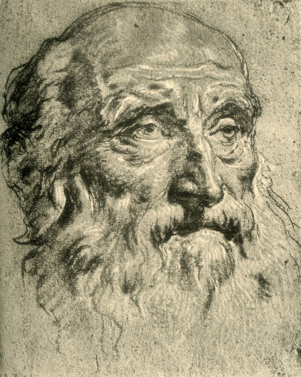 Cabeça de um homem idoso, meados do século XVIII, 1928 de Giovanni Battista Tiepolo