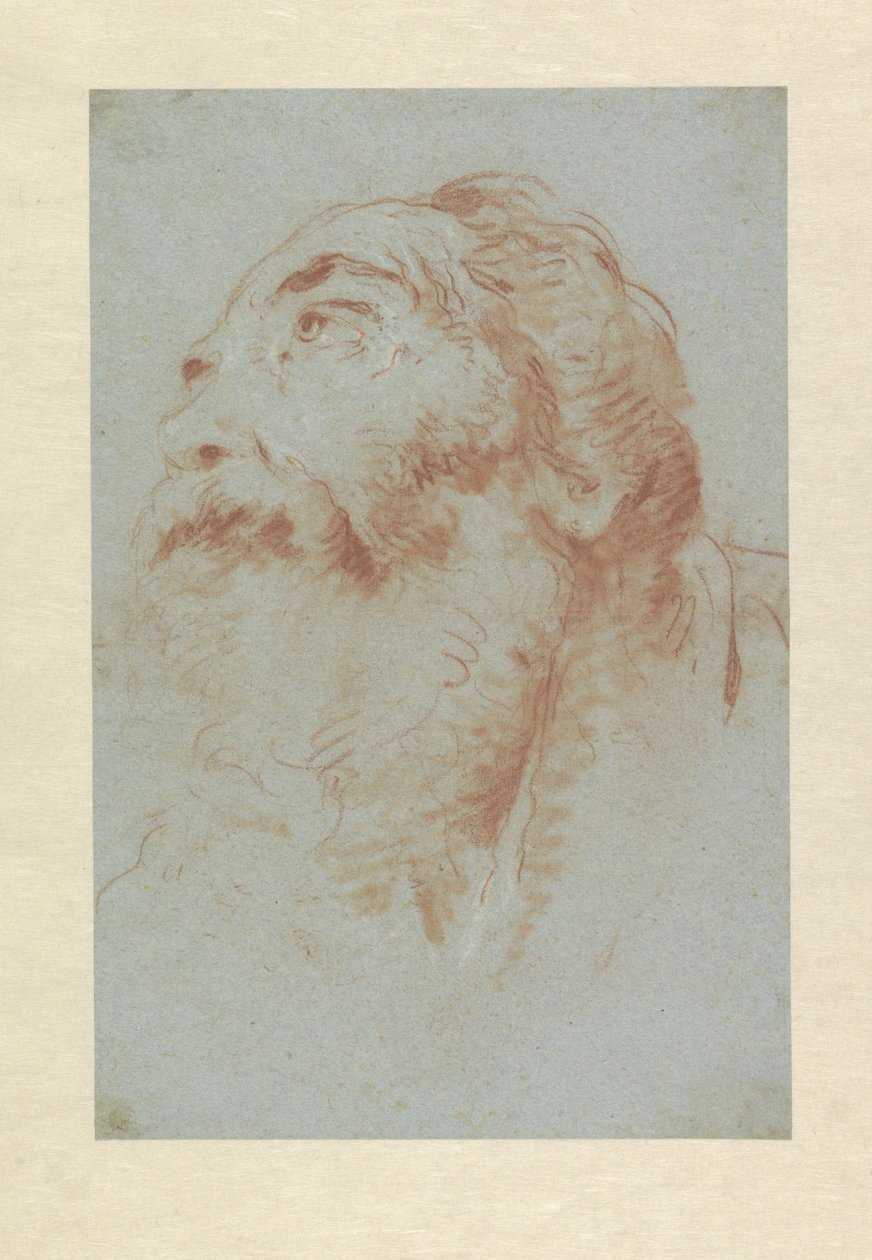 Cabeça de um homem velho de Giovanni Battista Tiepolo