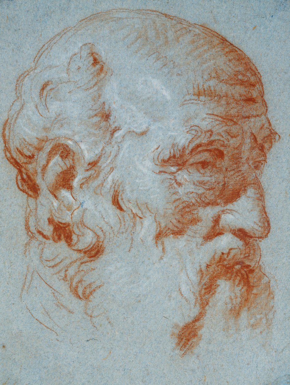 Estudo do busto de Giulio Contarini visto da esquerda de Giovanni Battista Tiepolo