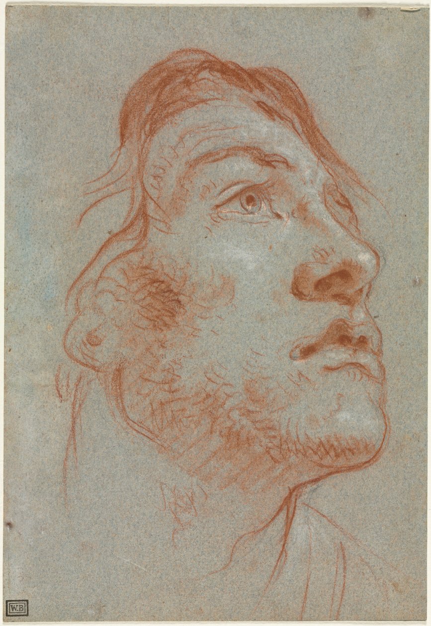 A cabeça de um jovem olhando para a direita, antes de 1752. de Giovanni Battista Tiepolo