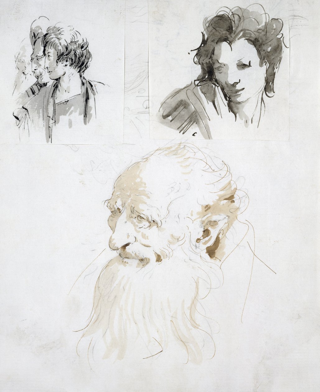 Três estudos de cabeças (caneta, tinta e papel) de Giovanni Battista Tiepolo
