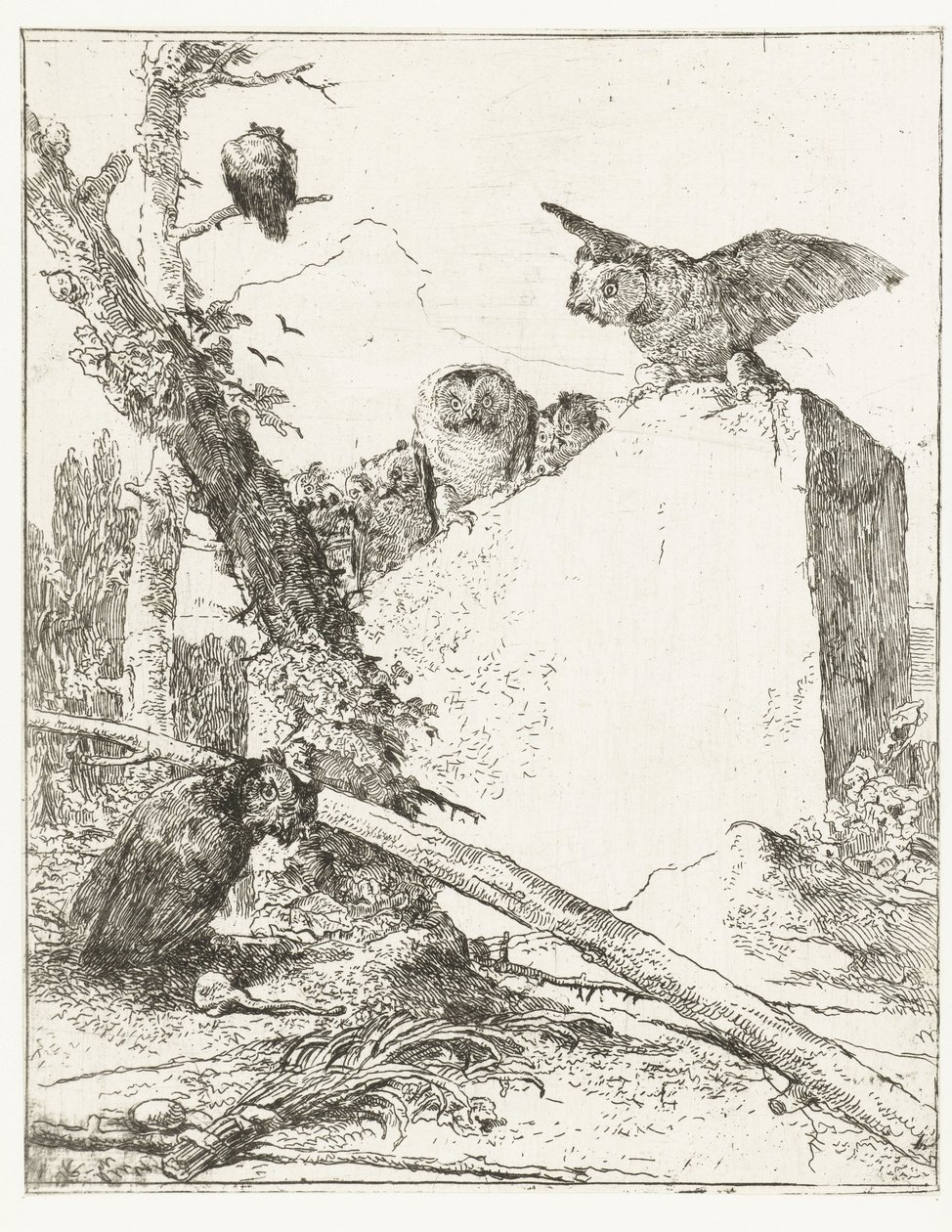 Impressão do título para Scherzi di fantasia com corujas perto de uma pedra Scherzi di fantasia (título da série) de Giovanni Battista Tiepolo