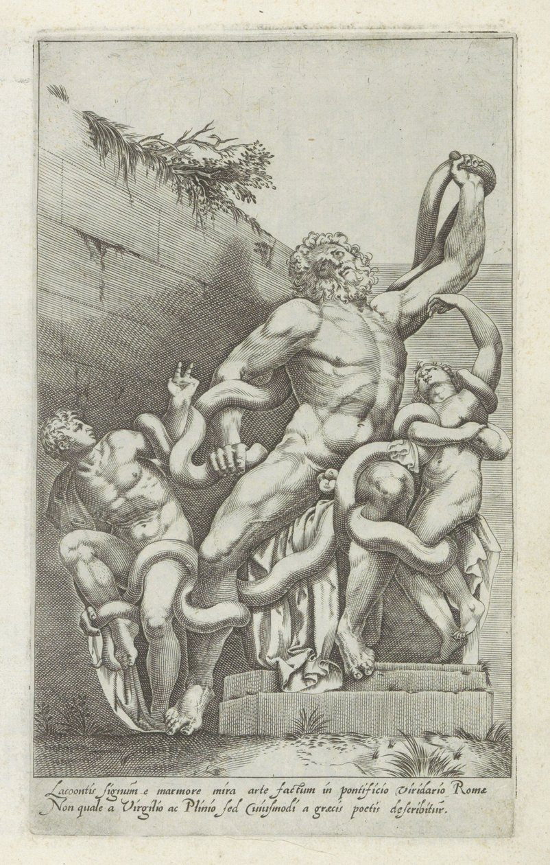 Laocoöngroep
Lacoontis signum e marmore mira arte factum (...) (título sobre o objecto)
Escultor antieke em Roma (título da série)
Antiquarum statuarum urbis Romae quae in publicis locis visuntur icones (título da série) de Giovanni Battista de