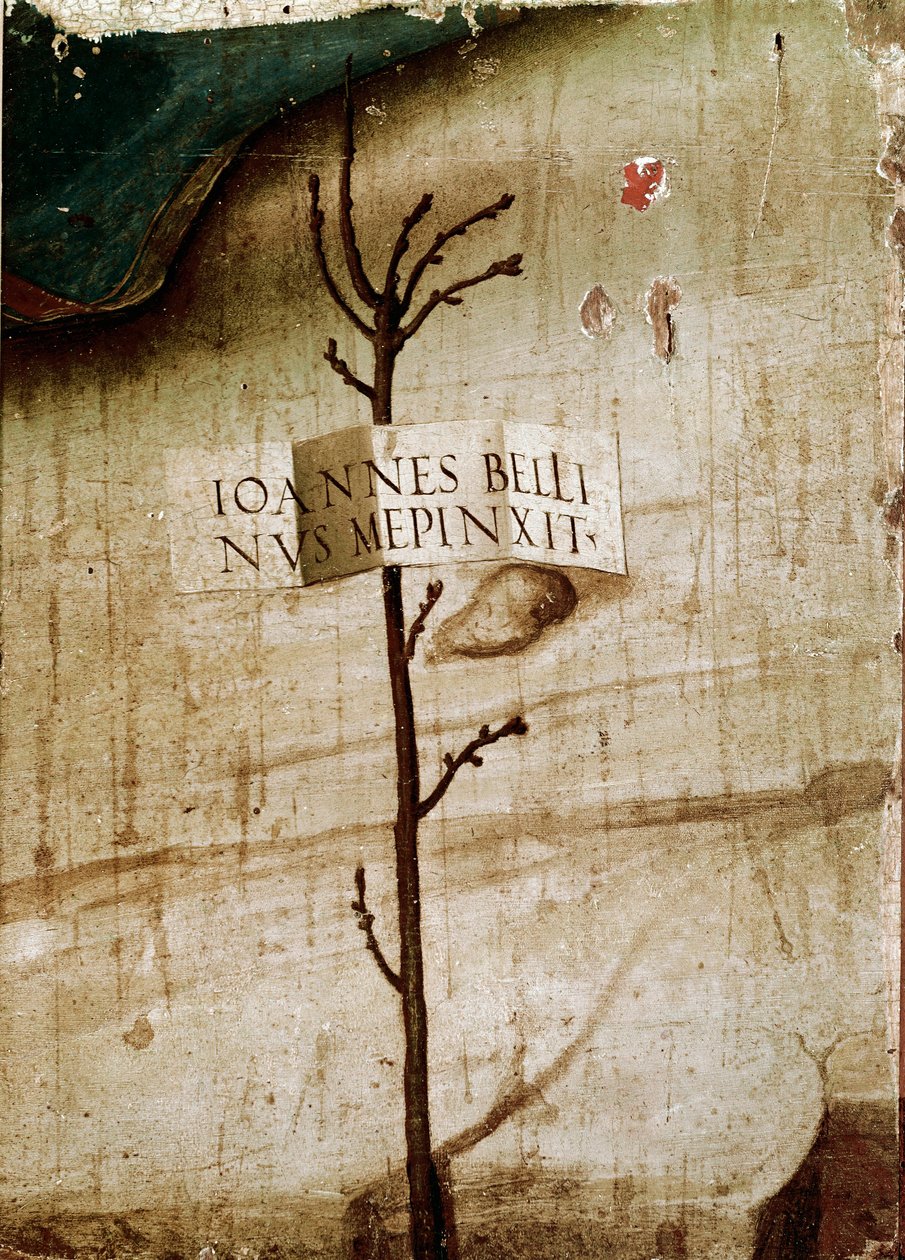 Pequena árvore e cardrige. Detalhe (tempera no painel de Giovanni Bellini