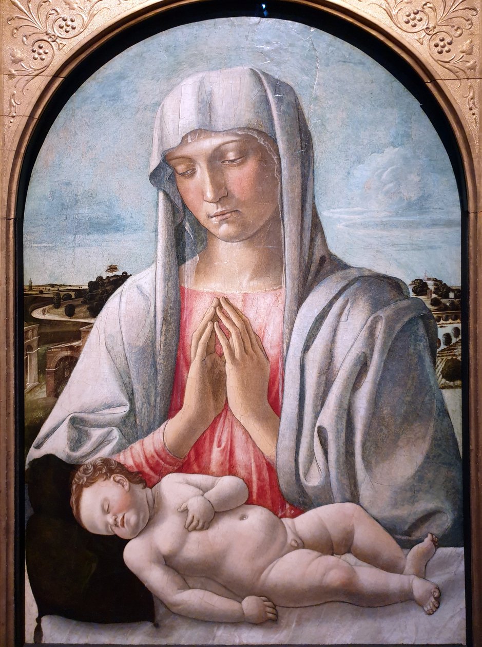 Nossa Senhora adorando o menino adormecido de Giovanni Bellini