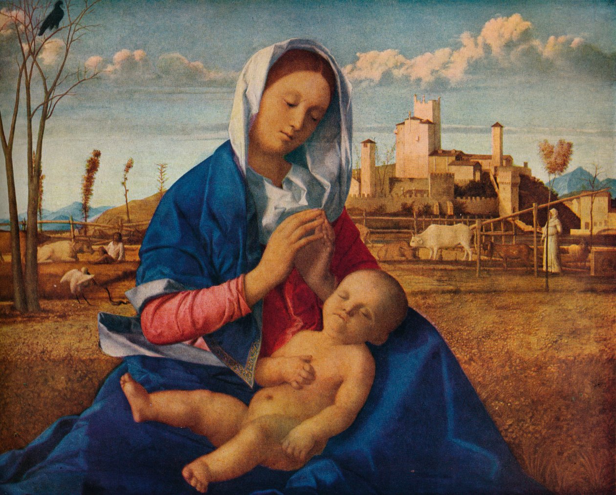 Madonna do Prado, c1500 de Giovanni Bellini