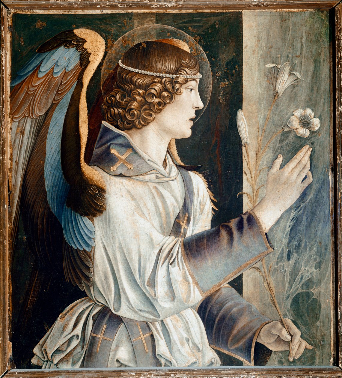 Políptico de St. Vincent Ferrier: Anjo da Anunciação (Políptico de São Vicente Ferrer: Anjo da Anunciação) Pintura de Giovanni Bellini dit il Giambellino (ca. 1432-1516) 1464-1468 Dim 72x67 cm Veneza Chiesa dei Santi Giovanni e Paolo de Giovanni Bellini