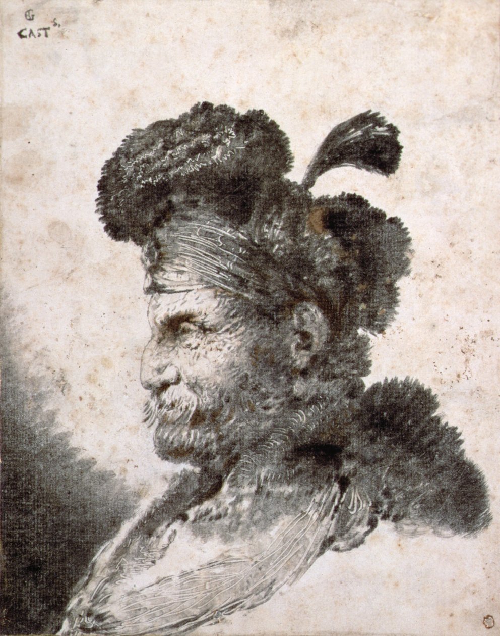 Cabeça de um oriental de perfil à esquerda de Giovanni Benedetto Castiglione