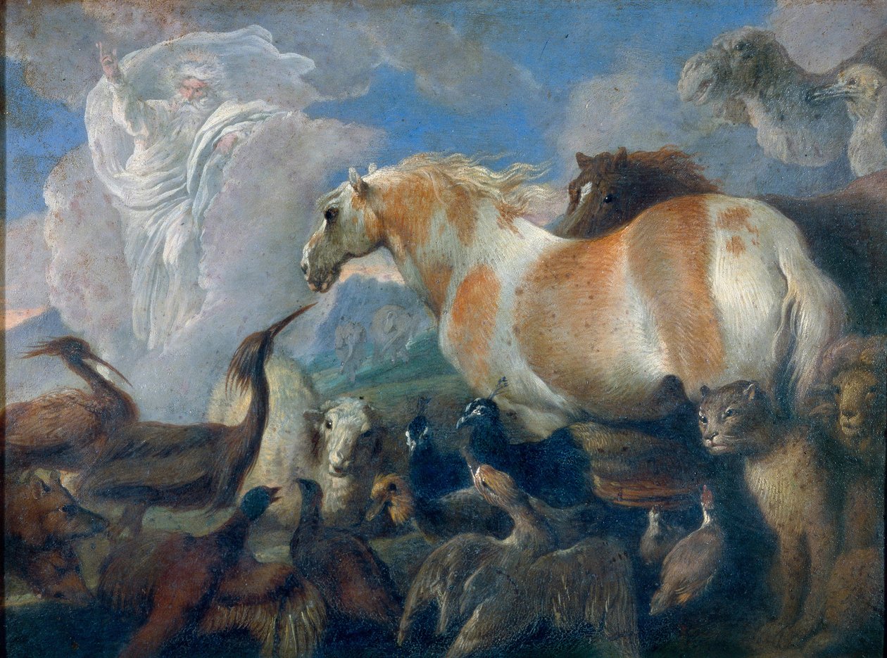Criação (Gênesis). Pintura de Giovanni Benedetto Castiglione (1610-1665), óleo sobre tela, meados do século XVII. Arte italiana (Génova) de Giovanni Benedetto Castiglione