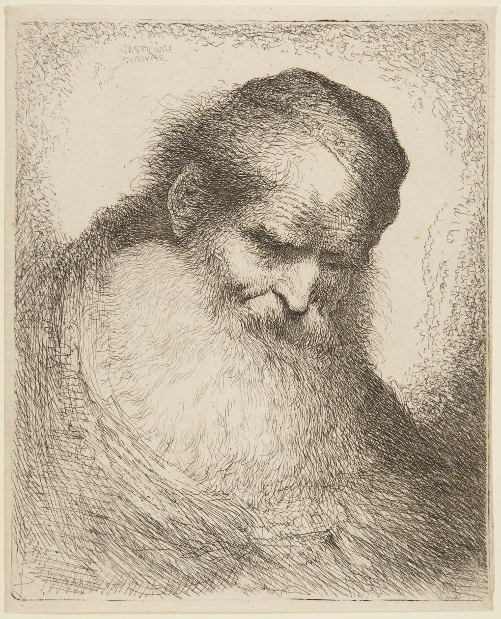 Cabeça de um velho barbudo de Giovanni Benedetto Castiglione