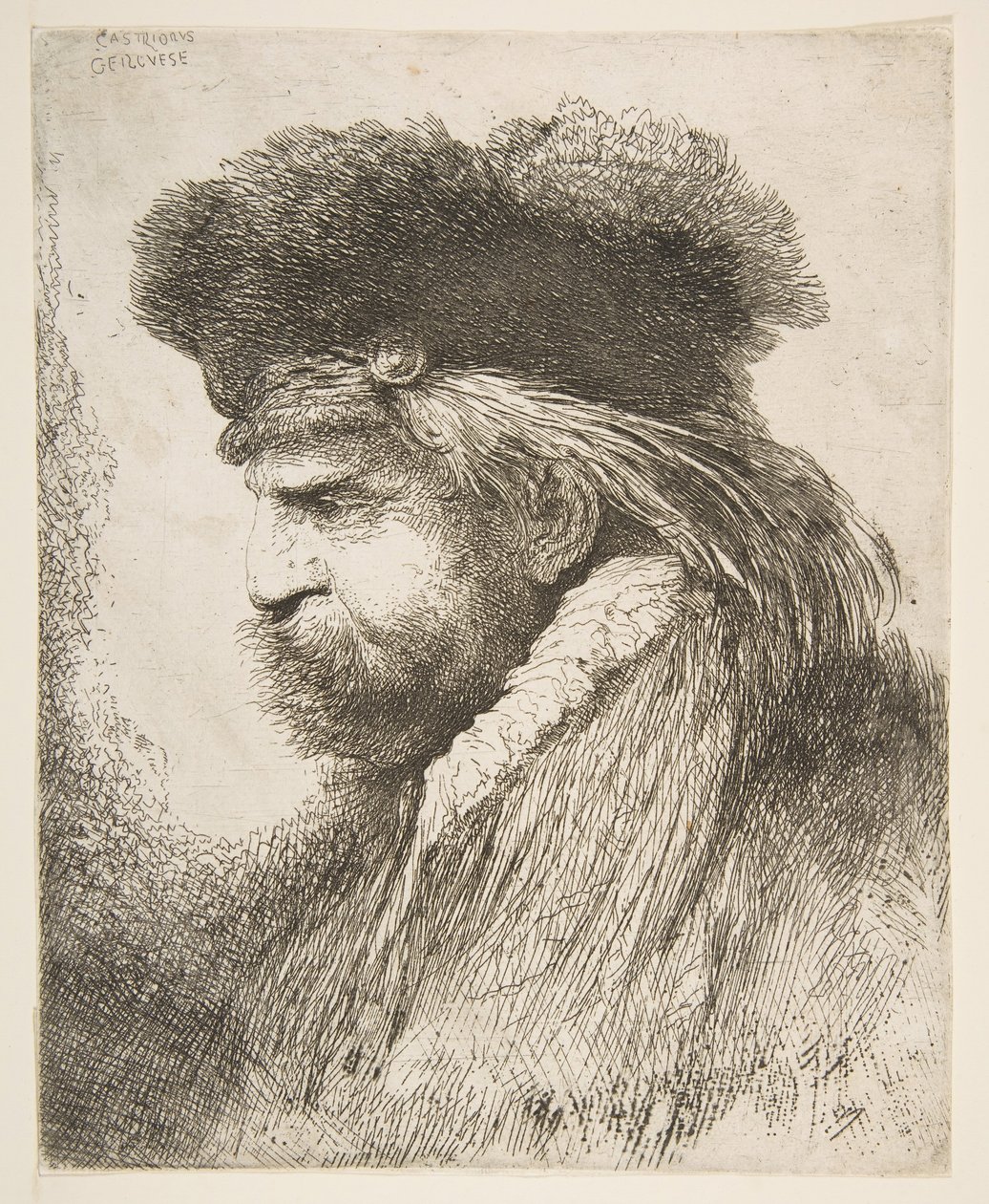 Cabeça de um velho virado para a esquerda, da série Large Large Heads, ca. 1645-50. de Giovanni Benedetto Castiglione