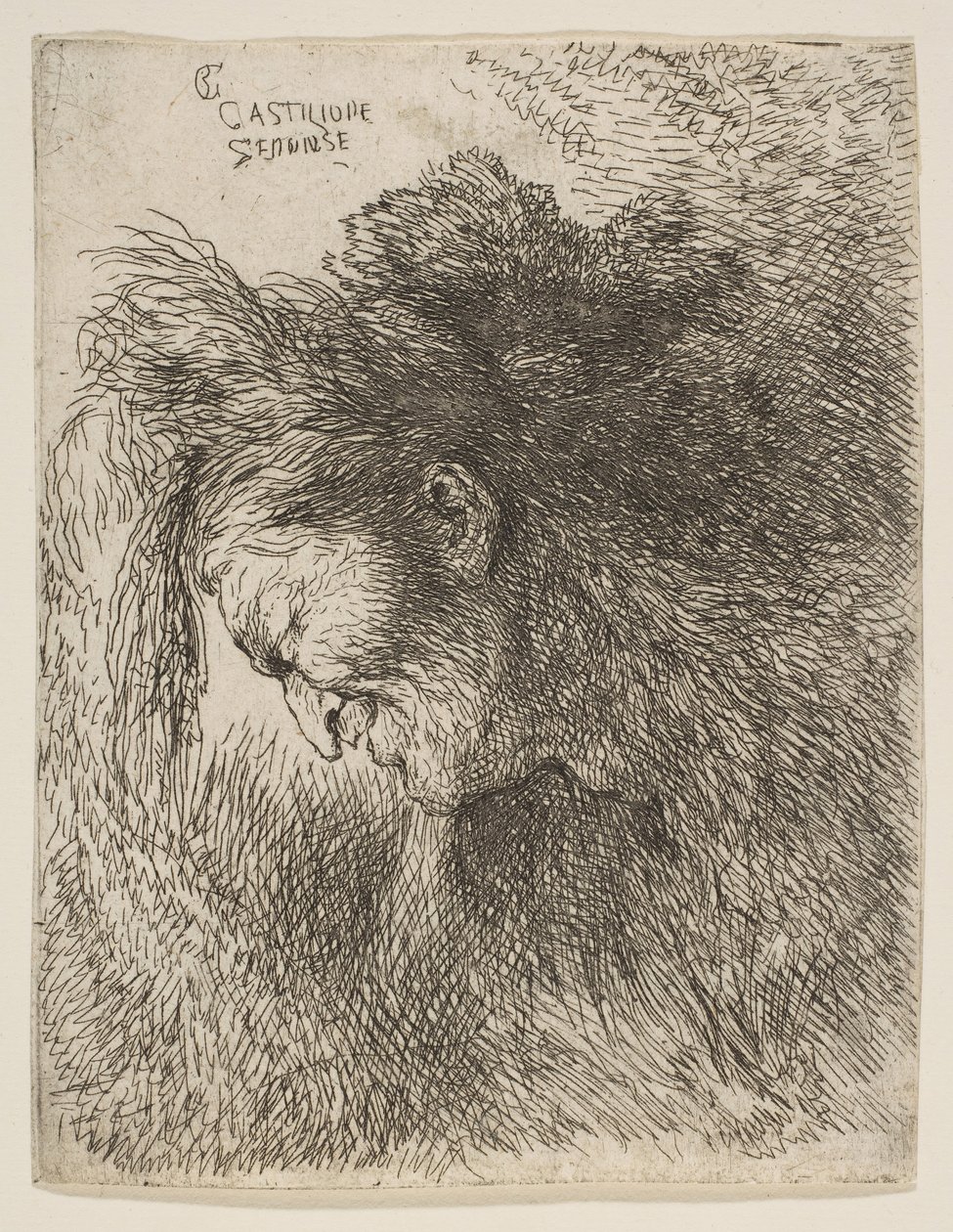 Cabeça de um velho olhando para baixo, de frente para a esquerda, da série Small Heads in ..., ca. 1645-1650. de Giovanni Benedetto Castiglione