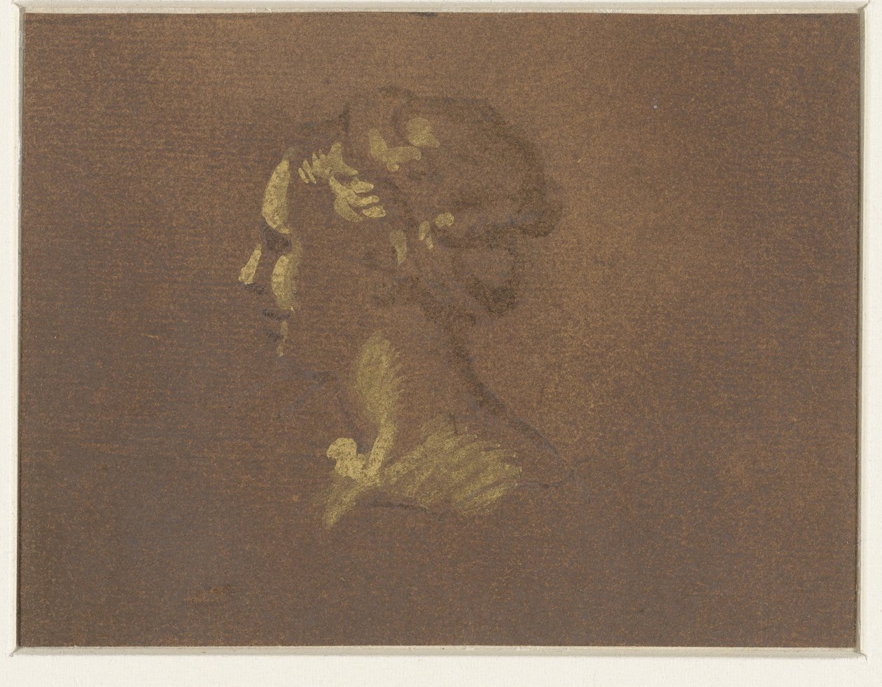 cabeça de menina de Giovanni Benedetto Castiglione