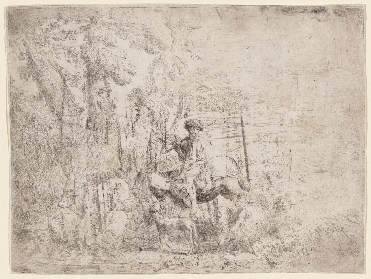 Jovem pastor a cavalo de Giovanni Benedetto Castiglione