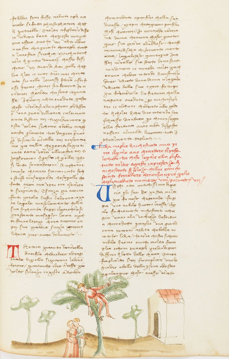 Decameron, A colheita das pêras; Nicostratus maltratado pela mulher, Sétimo dia, conto 9. de Giovanni Boccaccio
