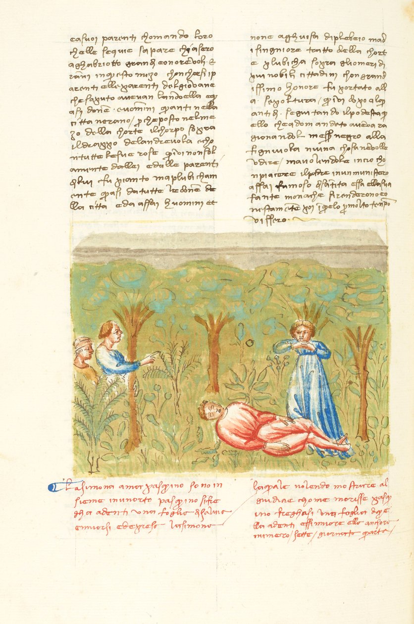Decameron, A planta sábia - Morte de Pasquino , Quarto dia, conto 7. de Giovanni Boccaccio