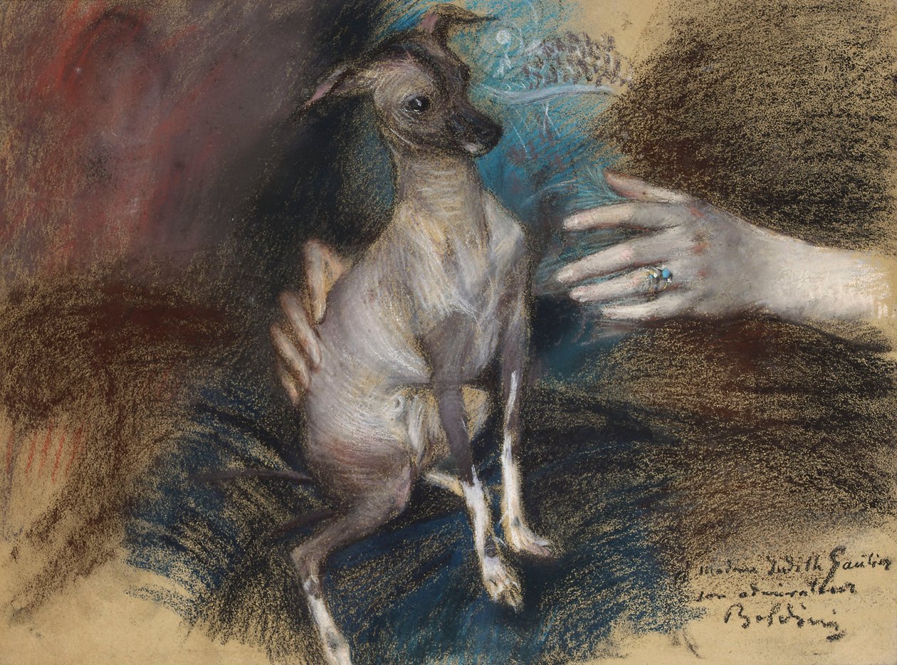 Senhora elegante com um cachorro (pastel e carvão sobre papel) de Giovanni Boldini