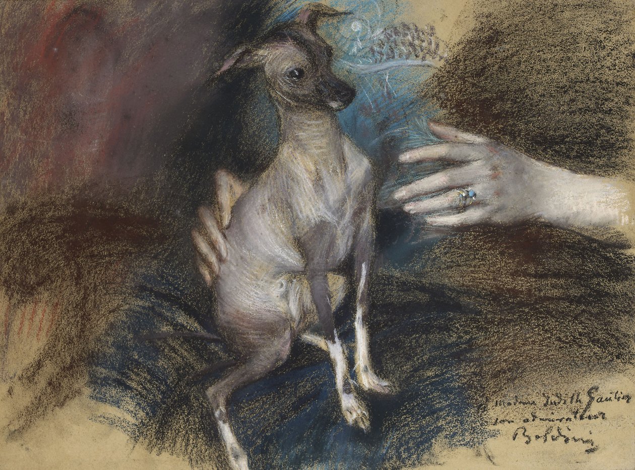 Cão elegante de Giovanni Boldini