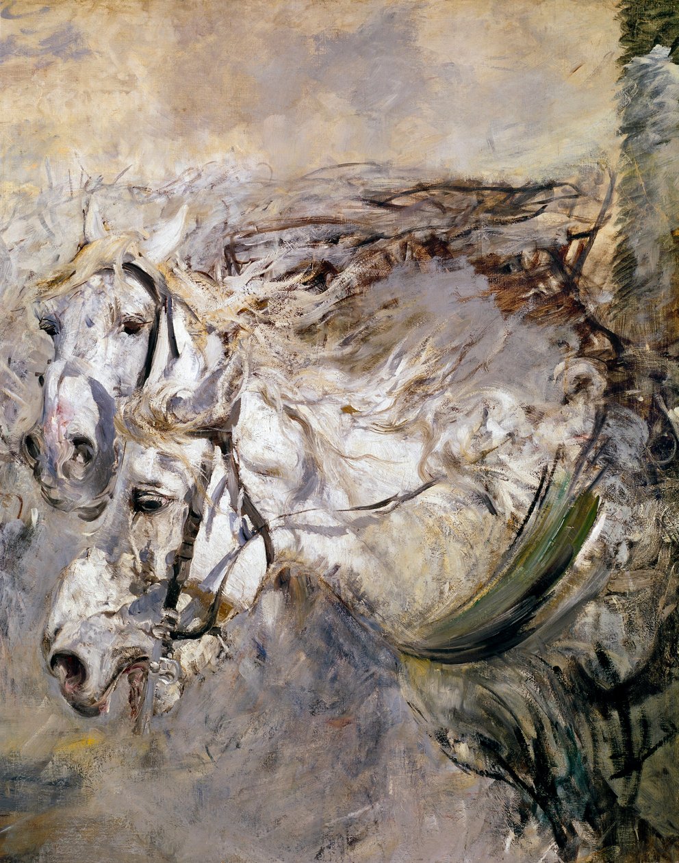 Two White Horses Painting by Giovanni Boldini (1842-1931) 1874 Dim. 153x122 cm Pistoia, Coleção Boldini de Giovanni Boldini