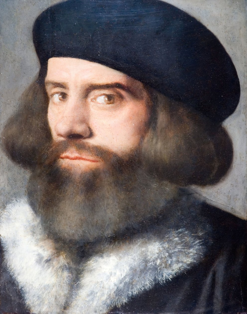 Cabeça de um homem barbudo, 1537. de Giovanni Buonconsiglio