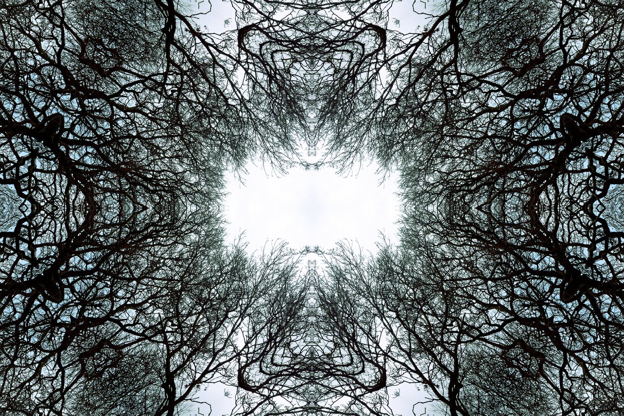 Unnatural 101 (foto manipulada digitalmente) de Giovanni Cafagna
