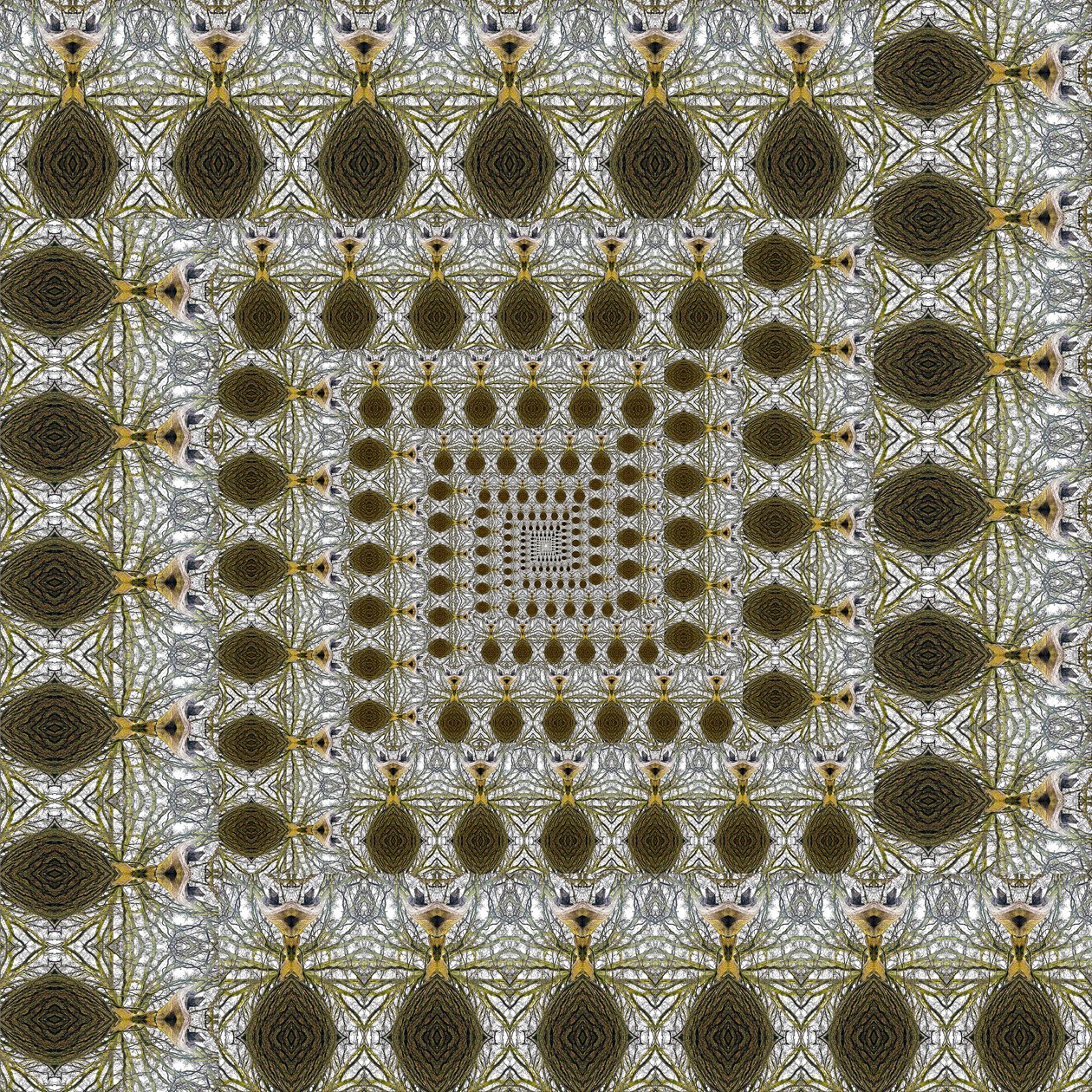 Unnatural 105 (foto manipulada digitalmente) de Giovanni Cafagna