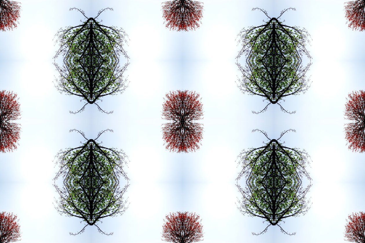 Unnatural 110 (foto manipulada digitalmente) de Giovanni Cafagna