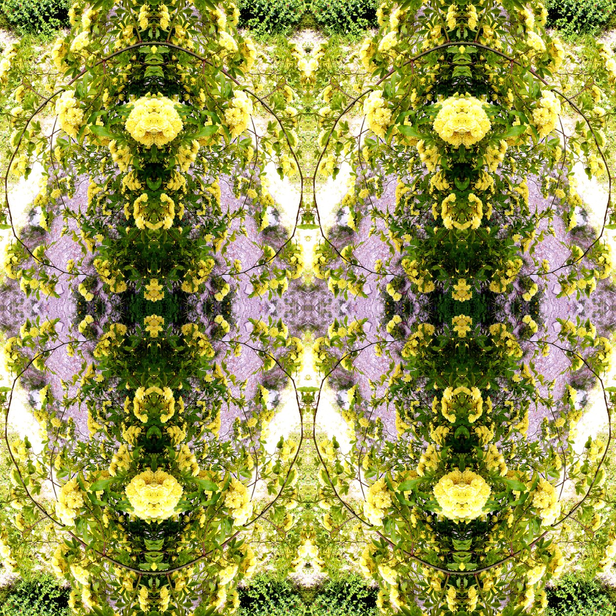 Unnatural 150 (foto manipulada digitalmente) de Giovanni Cafagna
