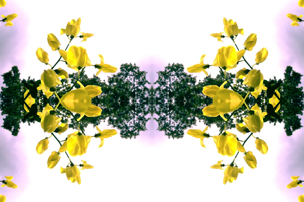 Não natural 151.2 (foto manipulada digitalmente) de Giovanni Cafagna