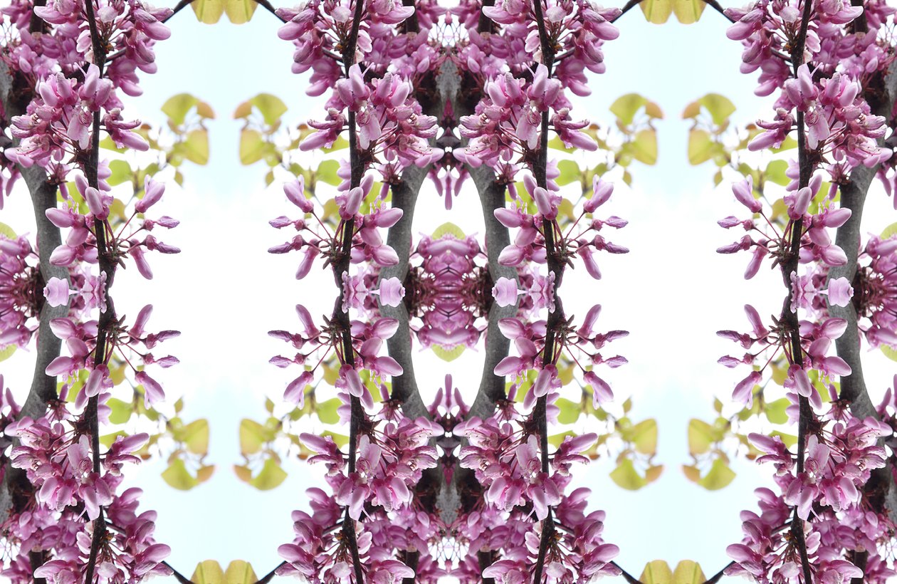 Unnatural 160,3 (foto manipulada digitalmente) de Giovanni Cafagna