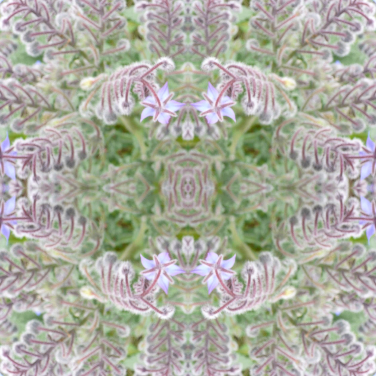 Unnatural 161 (foto manipulada digitalmente) de Giovanni Cafagna