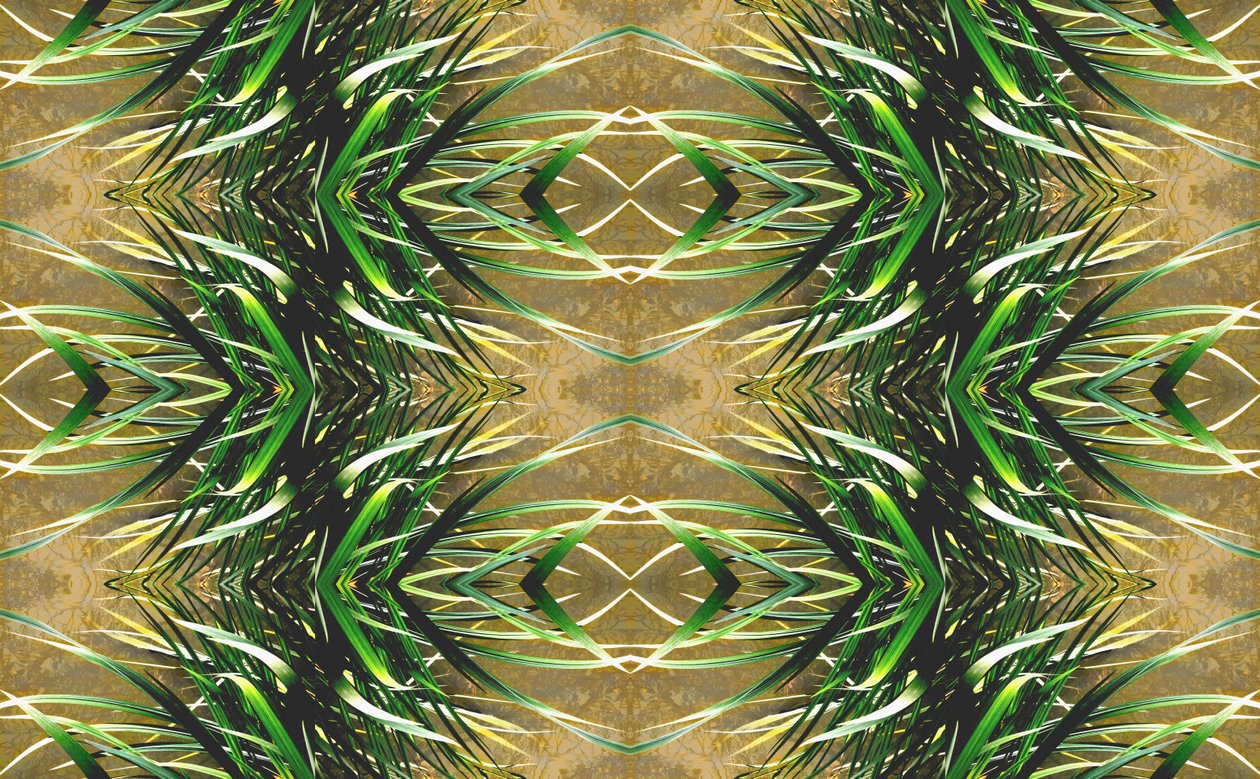 Não-natural 16 (foto manipulada digitalmente) de Giovanni Cafagna