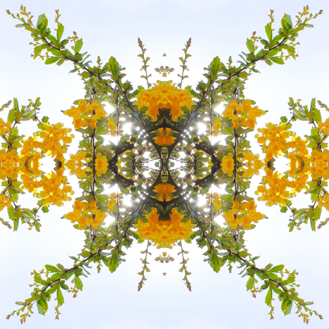 Unnatural 175 (foto manipulada digitalmente) de Giovanni Cafagna