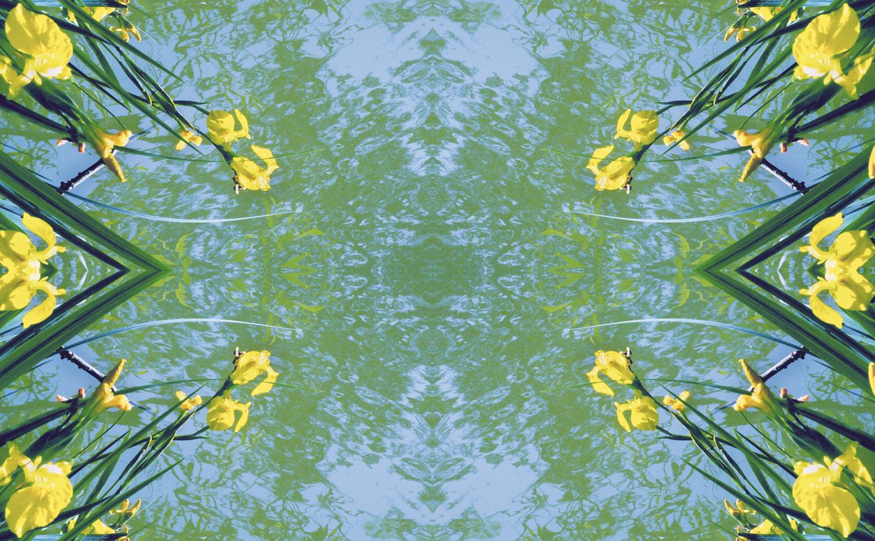 Unnatural 17 (foto manipulada digitalmente) de Giovanni Cafagna
