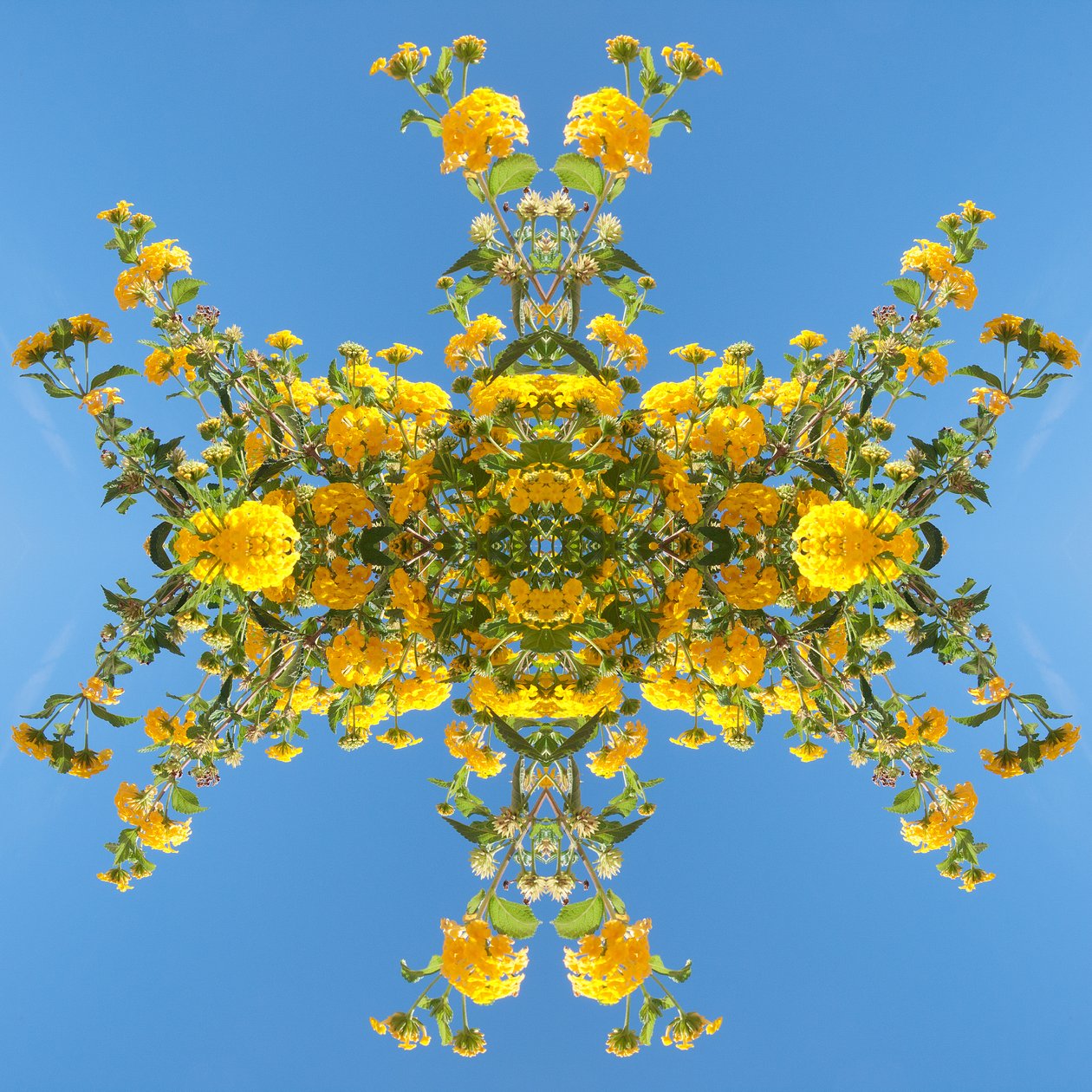 Unnatural 193 (foto manipulada digitalmente) de Giovanni Cafagna