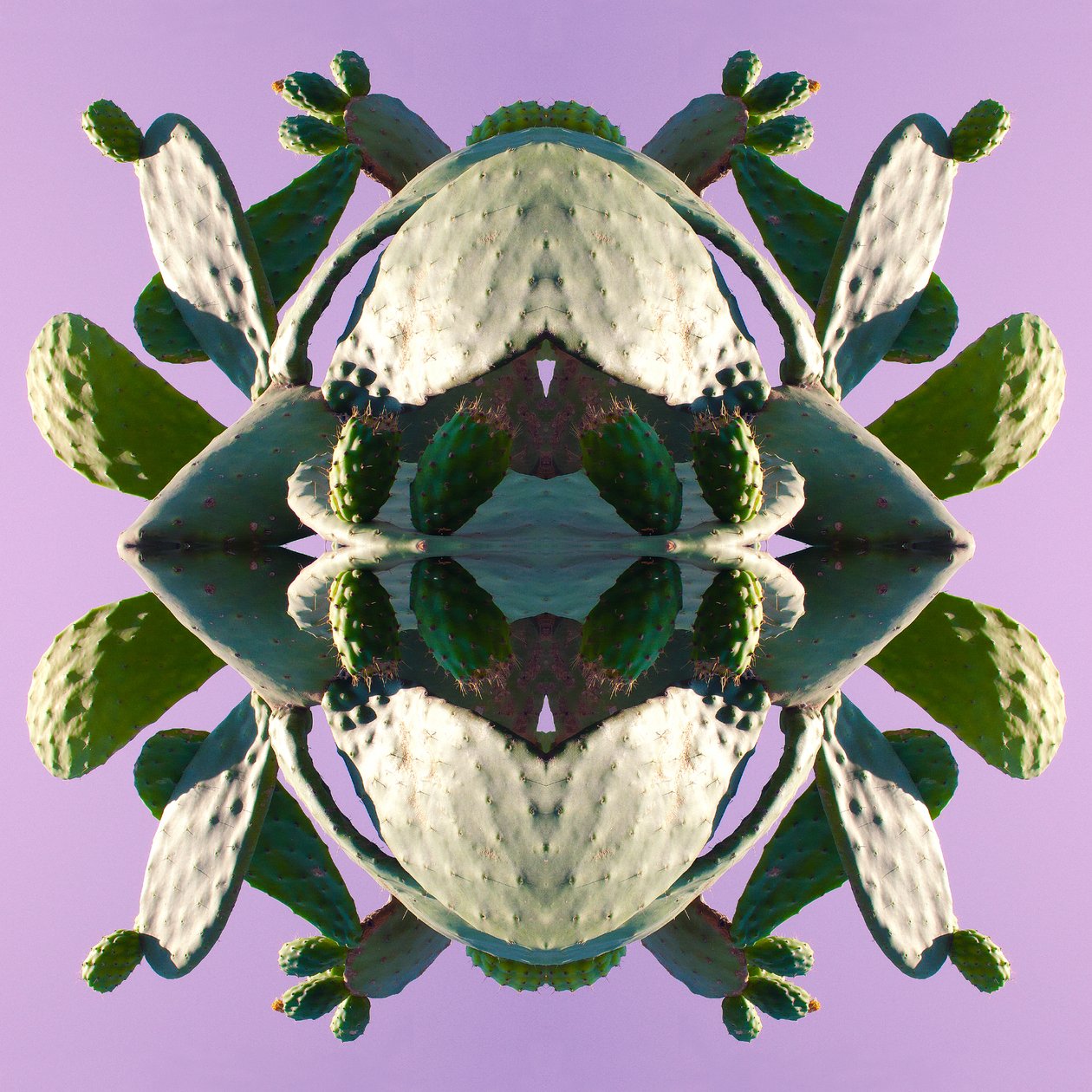 Unnatural 196 (foto manipulada digitalmente) de Giovanni Cafagna
