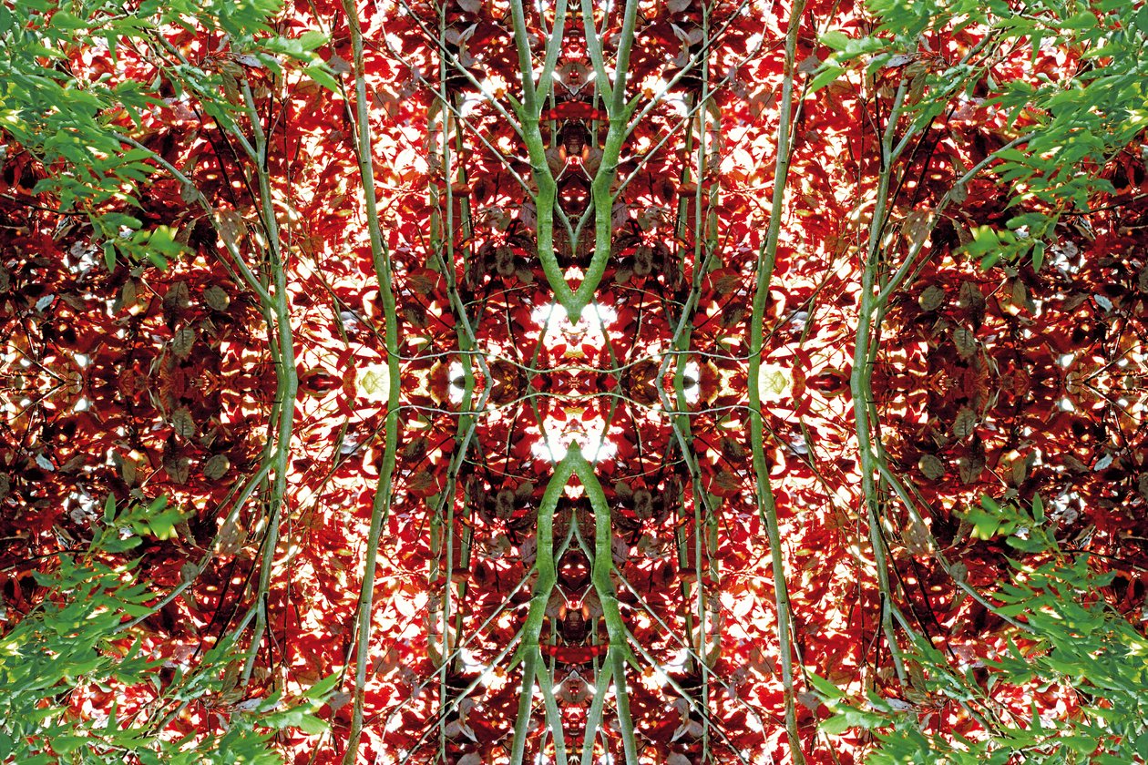 Não-natural 23 (foto manipulada digitalmente) de Giovanni Cafagna