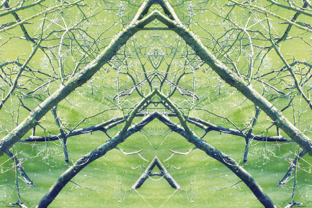 Não-natural 30 (foto manipulada digitalmente) de Giovanni Cafagna
