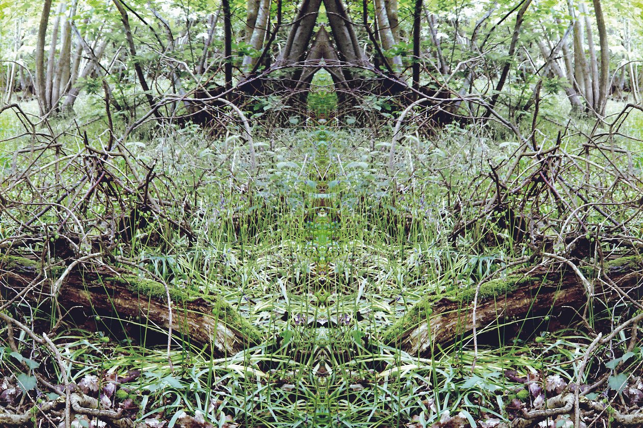 Não natural 33 (foto manipulada digitalmente) de Giovanni Cafagna