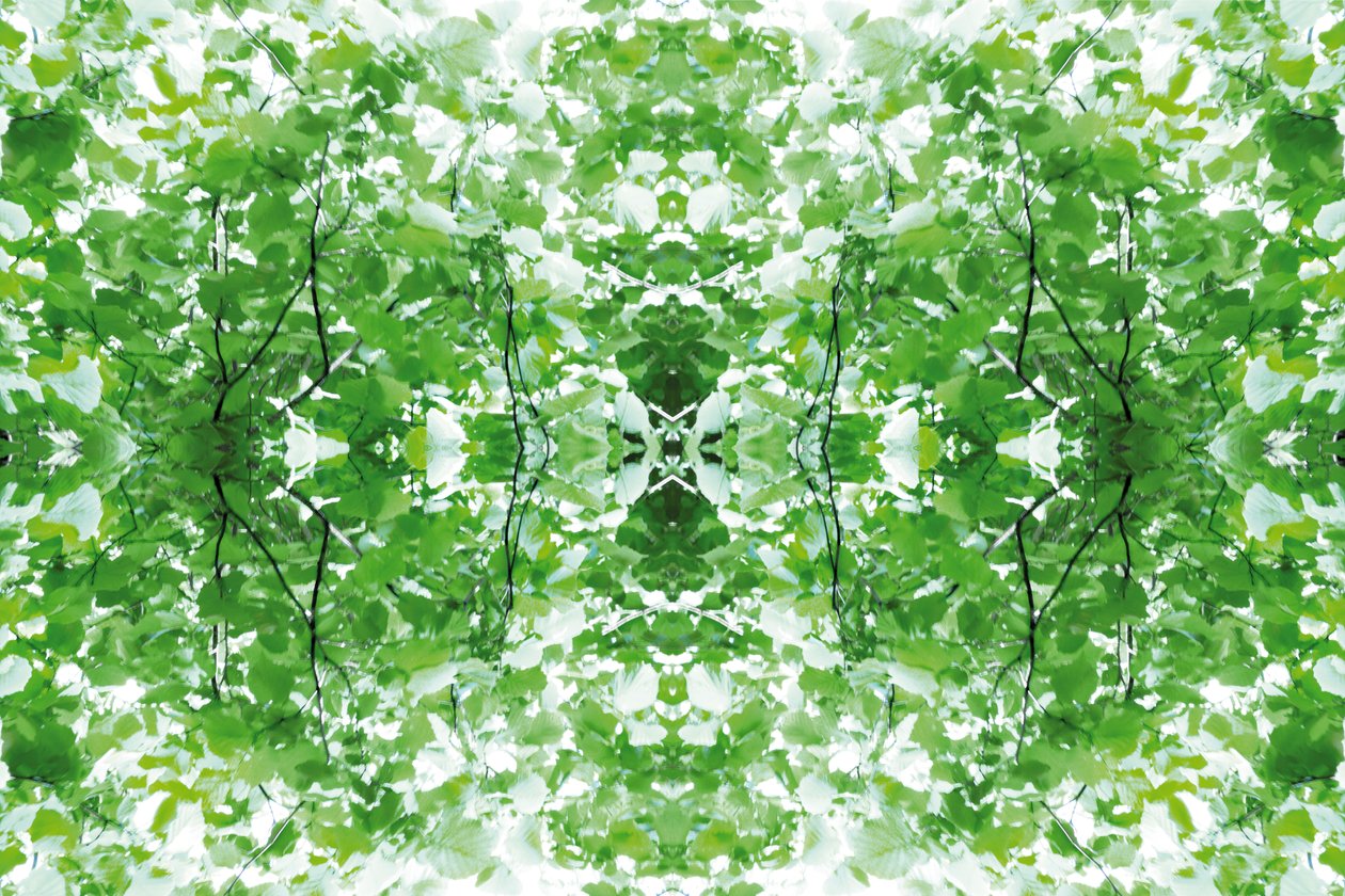 Não natural 34 (foto manipulada digitalmente) de Giovanni Cafagna