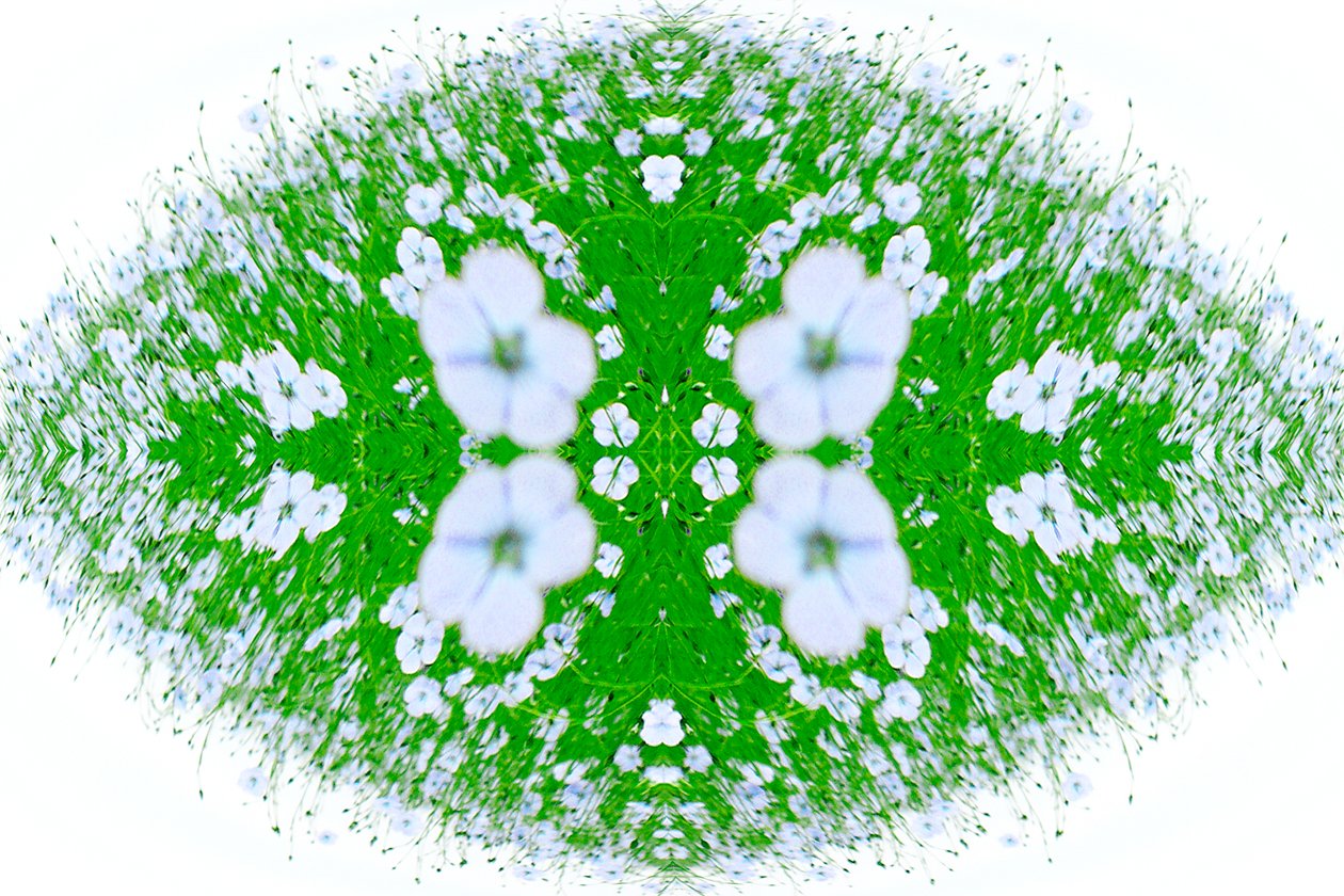 Não natural 37 (foto manipulada digitalmente) de Giovanni Cafagna