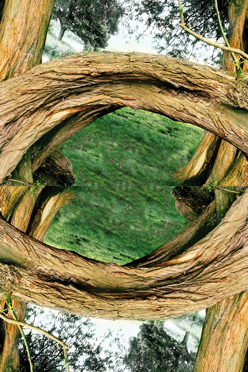 Não natural 37 (foto manipulada digitalmente) de Giovanni Cafagna