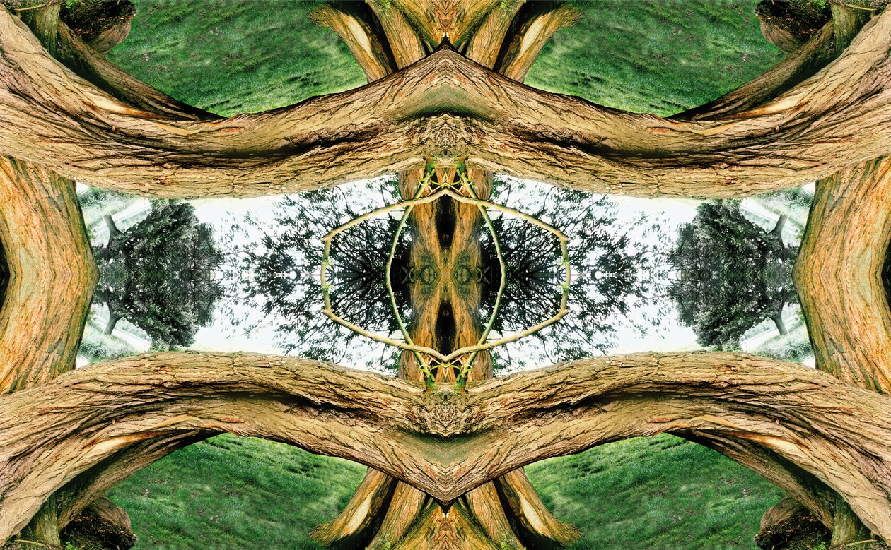 Não natural 37 (foto manipulada digitalmente) de Giovanni Cafagna
