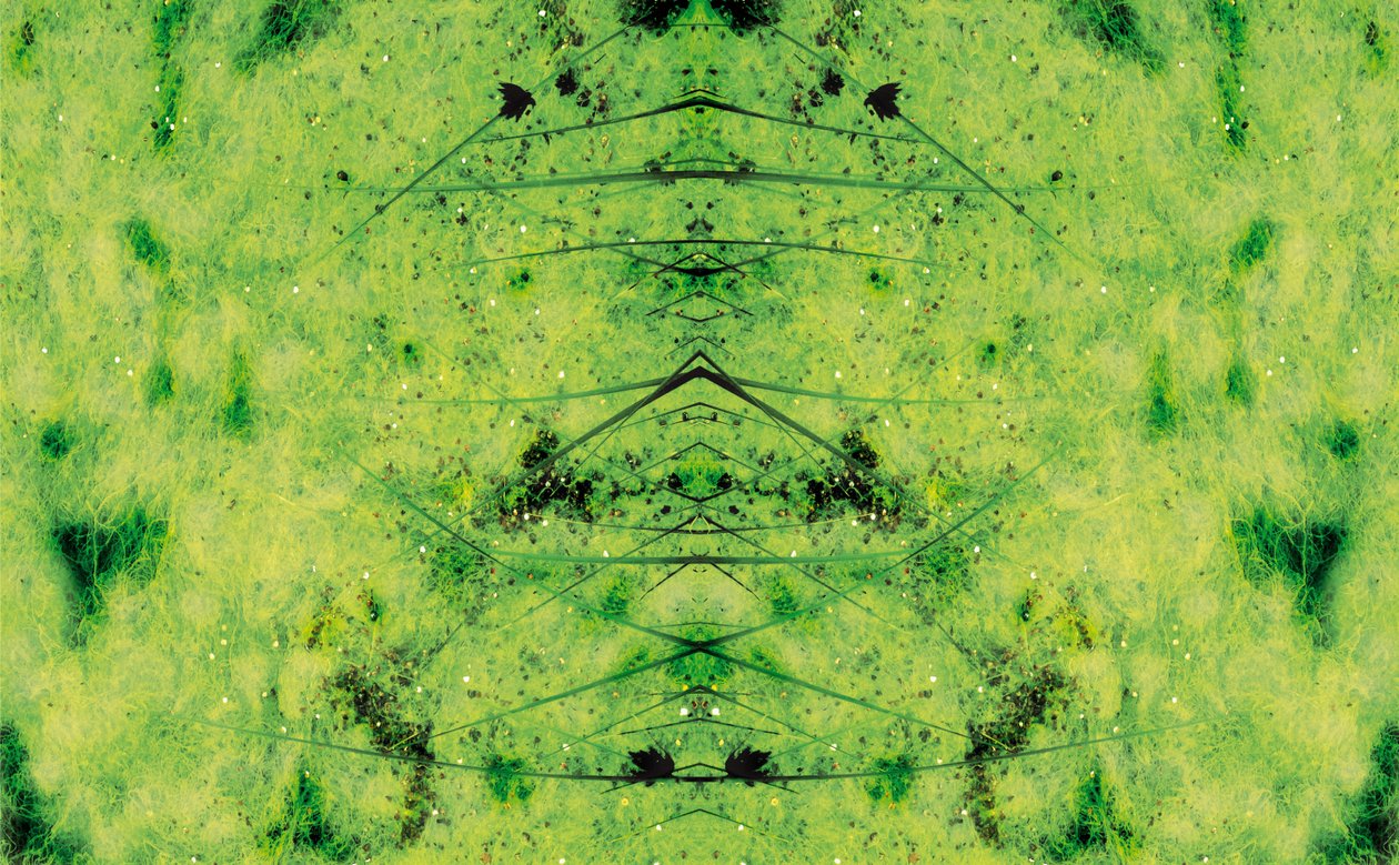 Não natural 3 (foto manipulada digitalmente) de Giovanni Cafagna