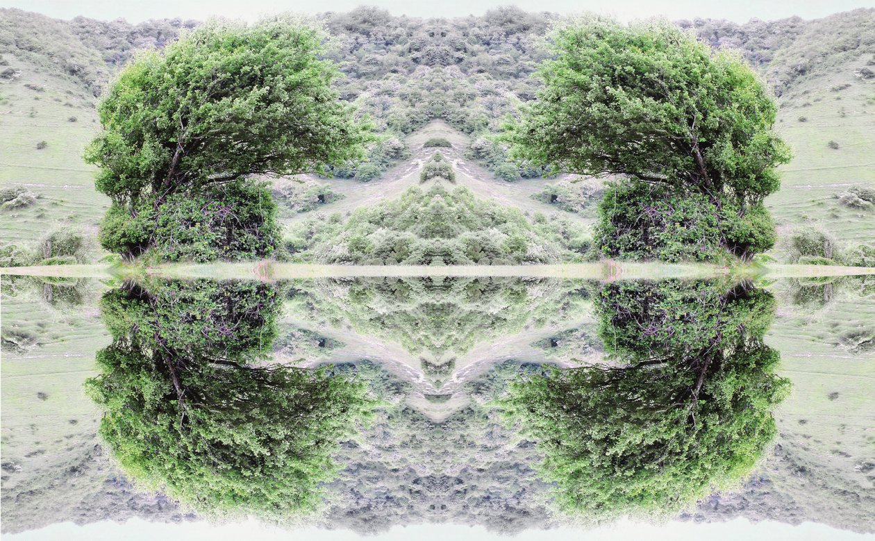 40 não natural (foto manipulada digitalmente) de Giovanni Cafagna