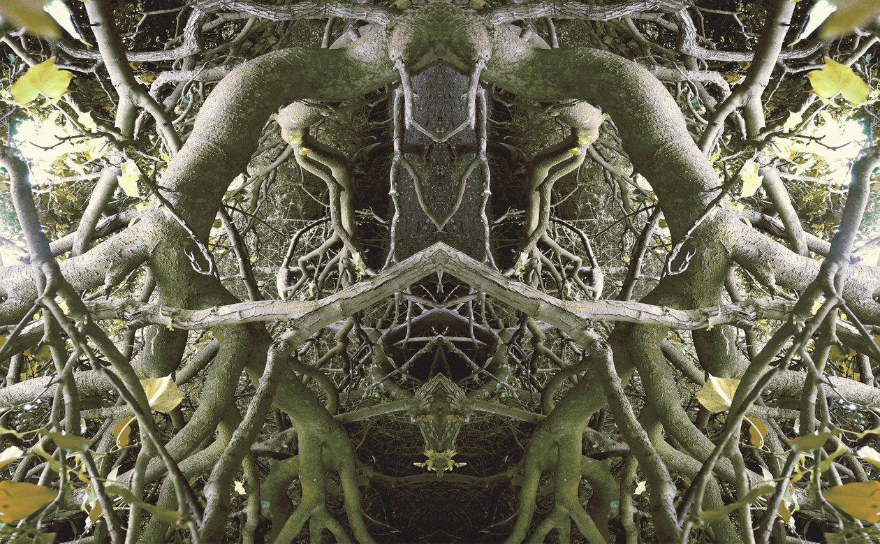 Não-natural 41 (foto manipulada digitalmente) de Giovanni Cafagna